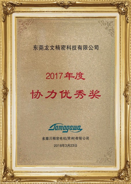 Cooperation Excellence Award